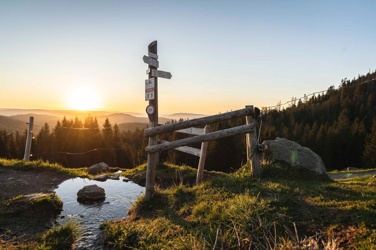 Waldhotel Fehrenbach Hinterzarten Kültér fotó