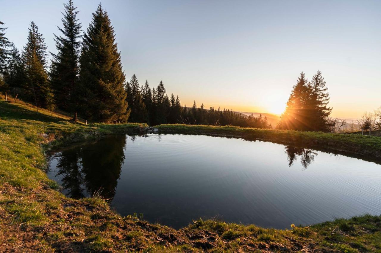 Waldhotel Fehrenbach Hinterzarten Kültér fotó