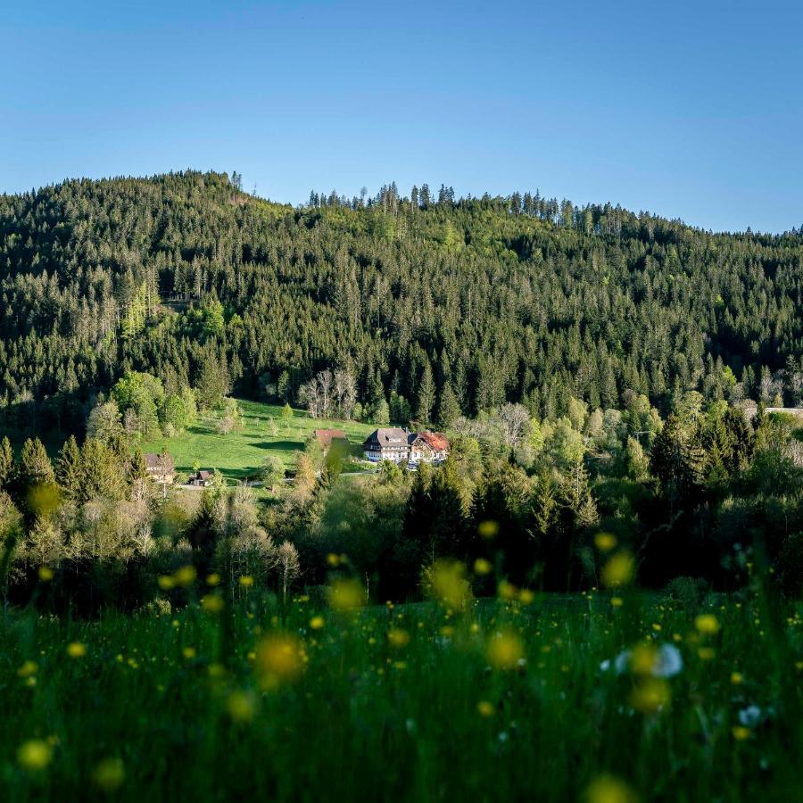 Waldhotel Fehrenbach Hinterzarten Kültér fotó
